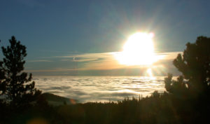Restore your Sunshine Fast